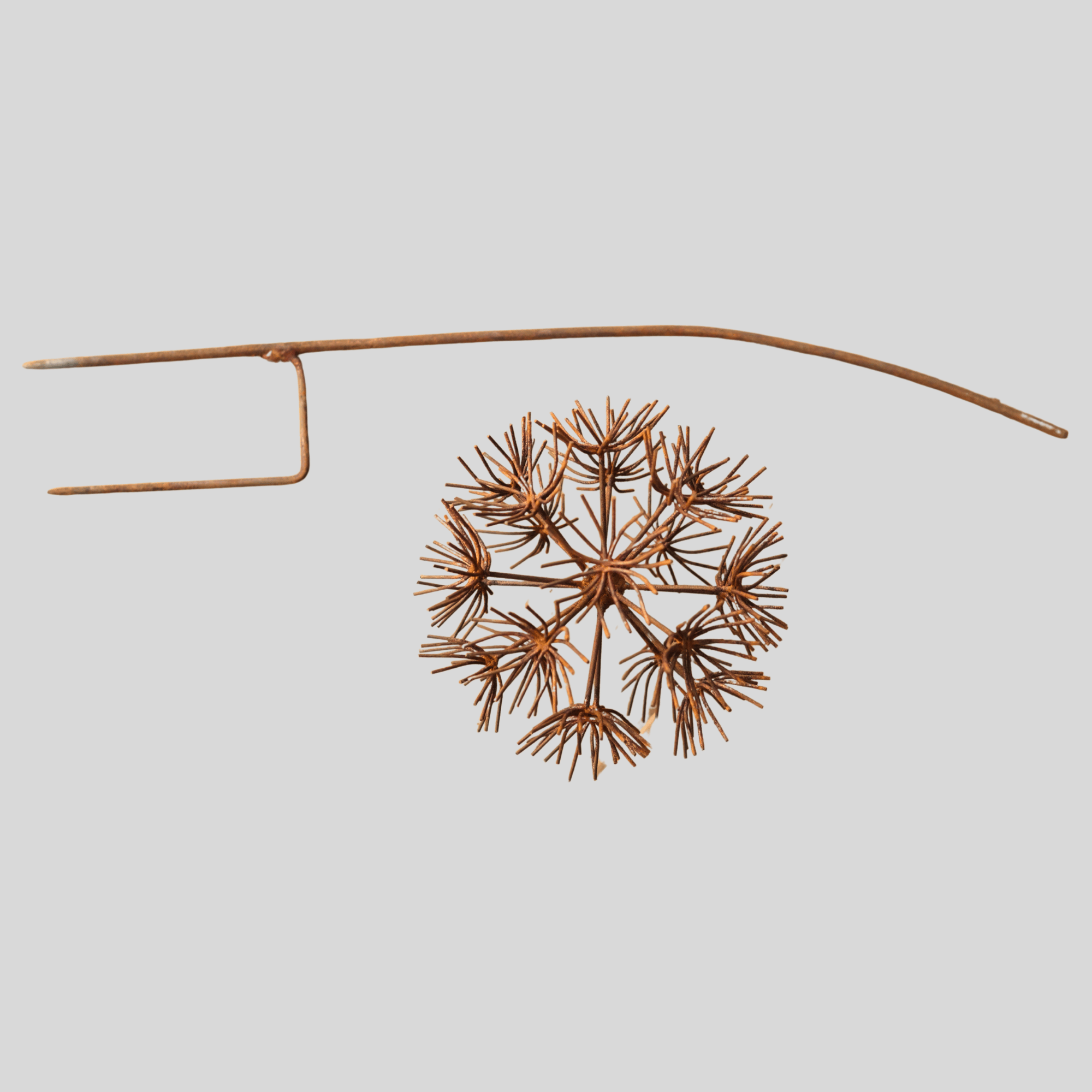 W6078B - Bruniaceae flower stake
