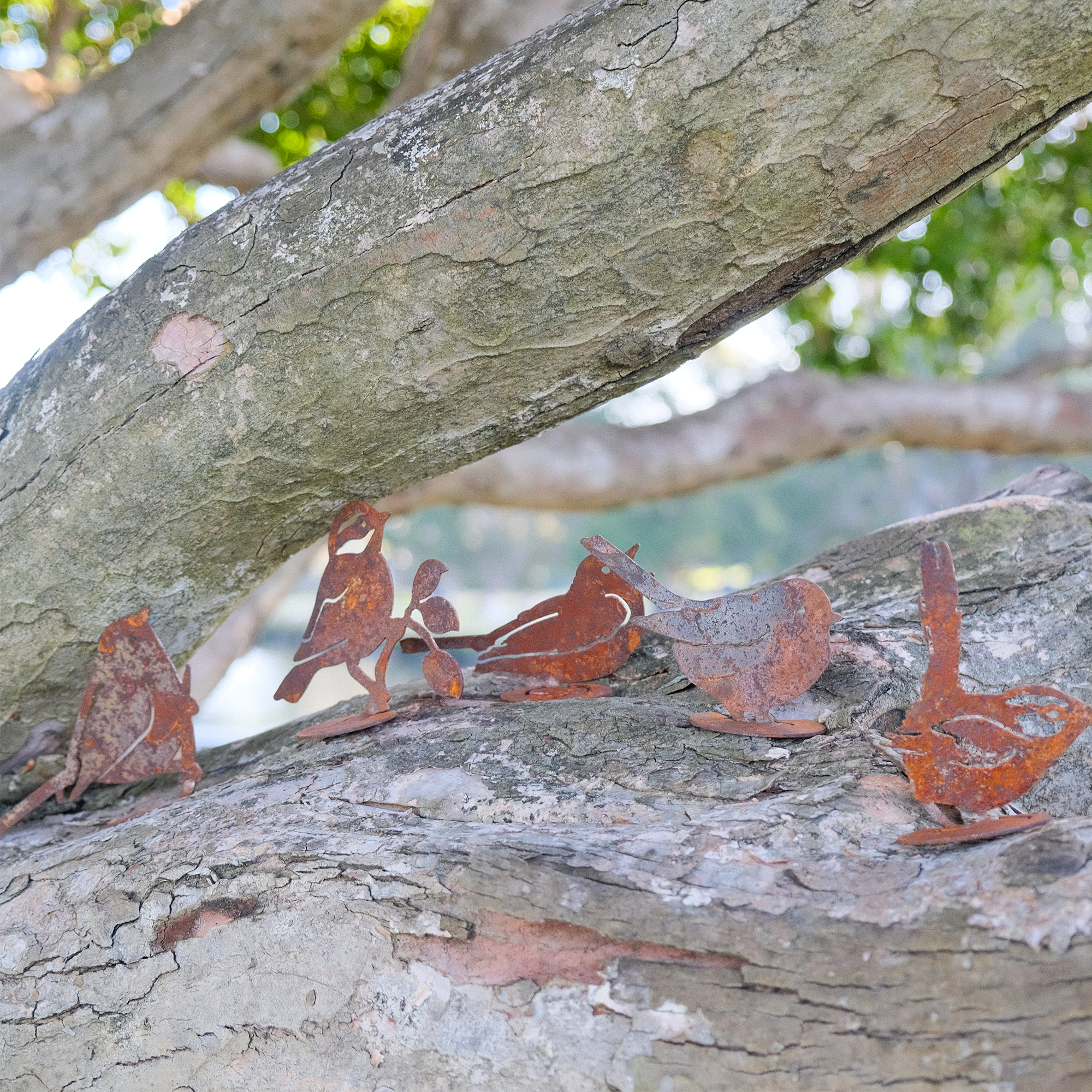 *W3940 House Wren
