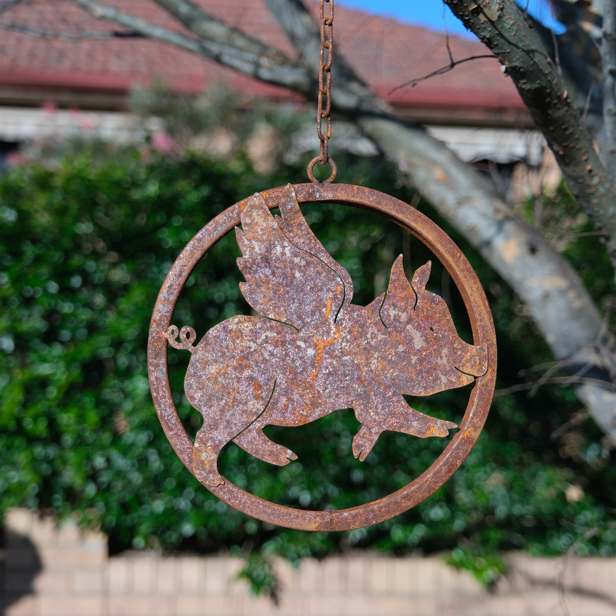 *W4271 Flying pig ring with hook set of 3