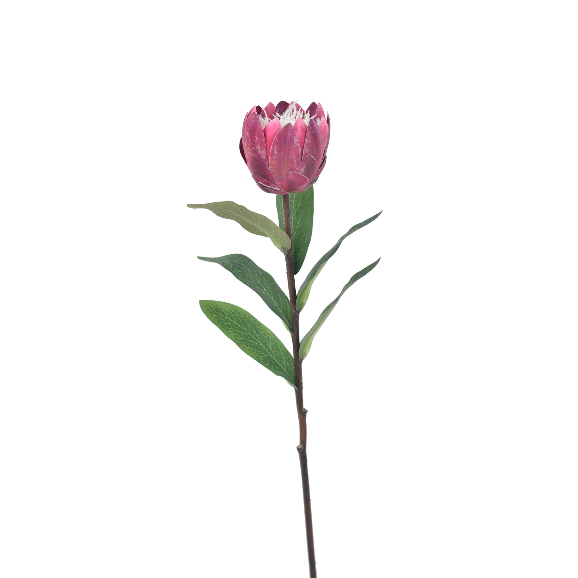 N35420-H129 Faux Protea / set of 6