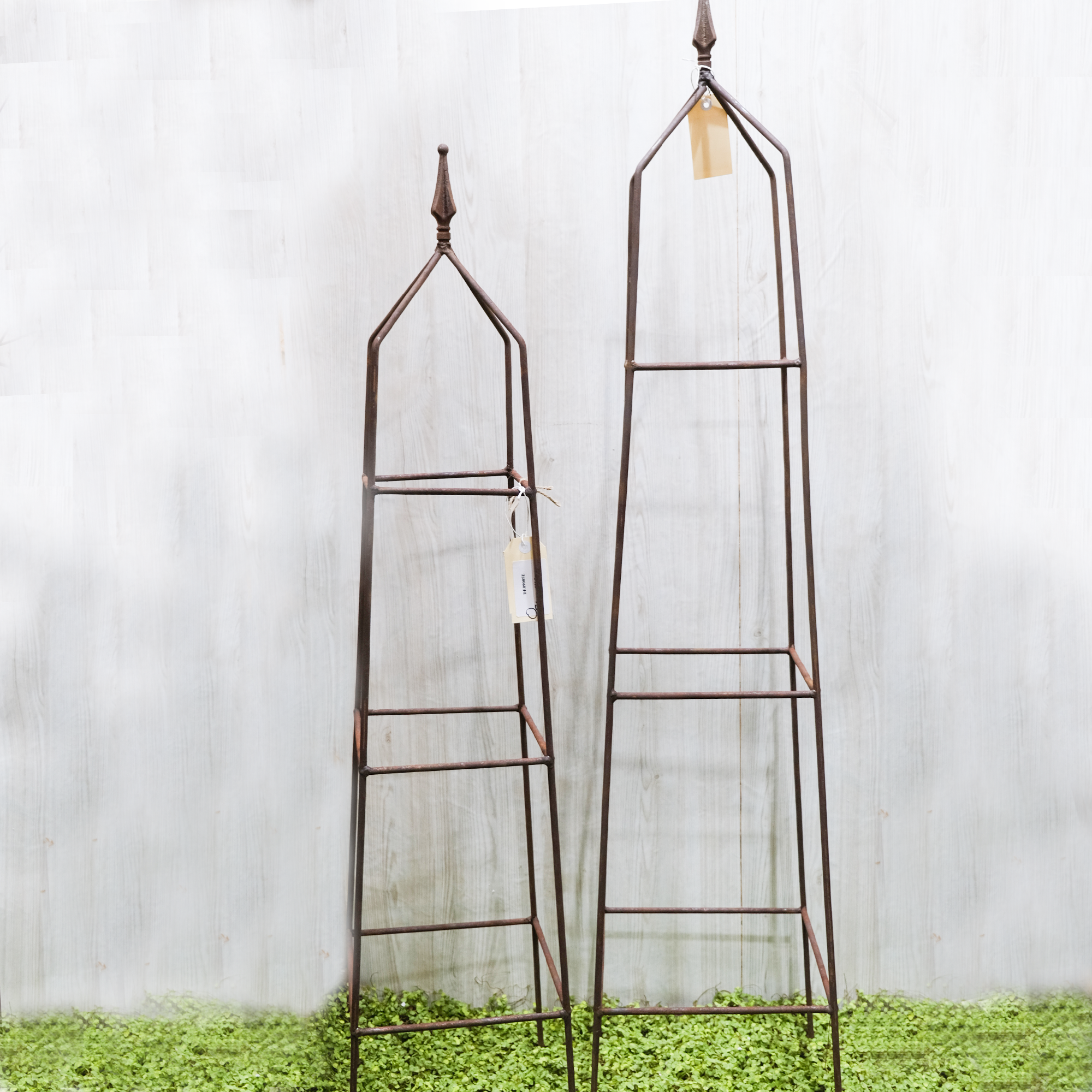 DE09005 vertical cone plant support stand/ a set of 2