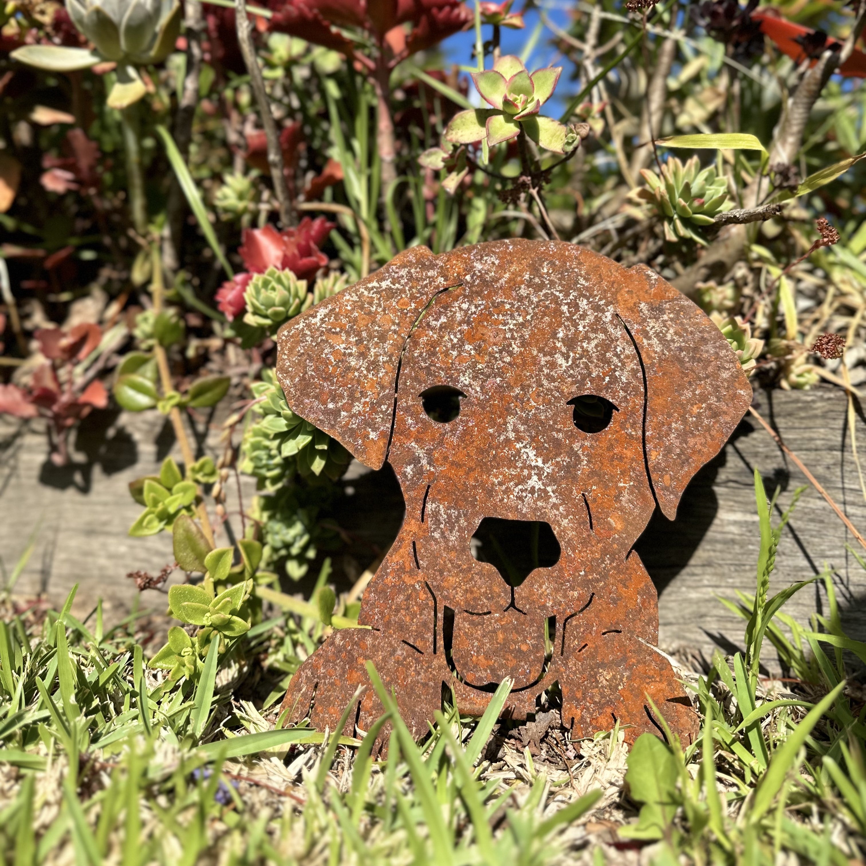 *W3937 Dog Face - SET OF 5