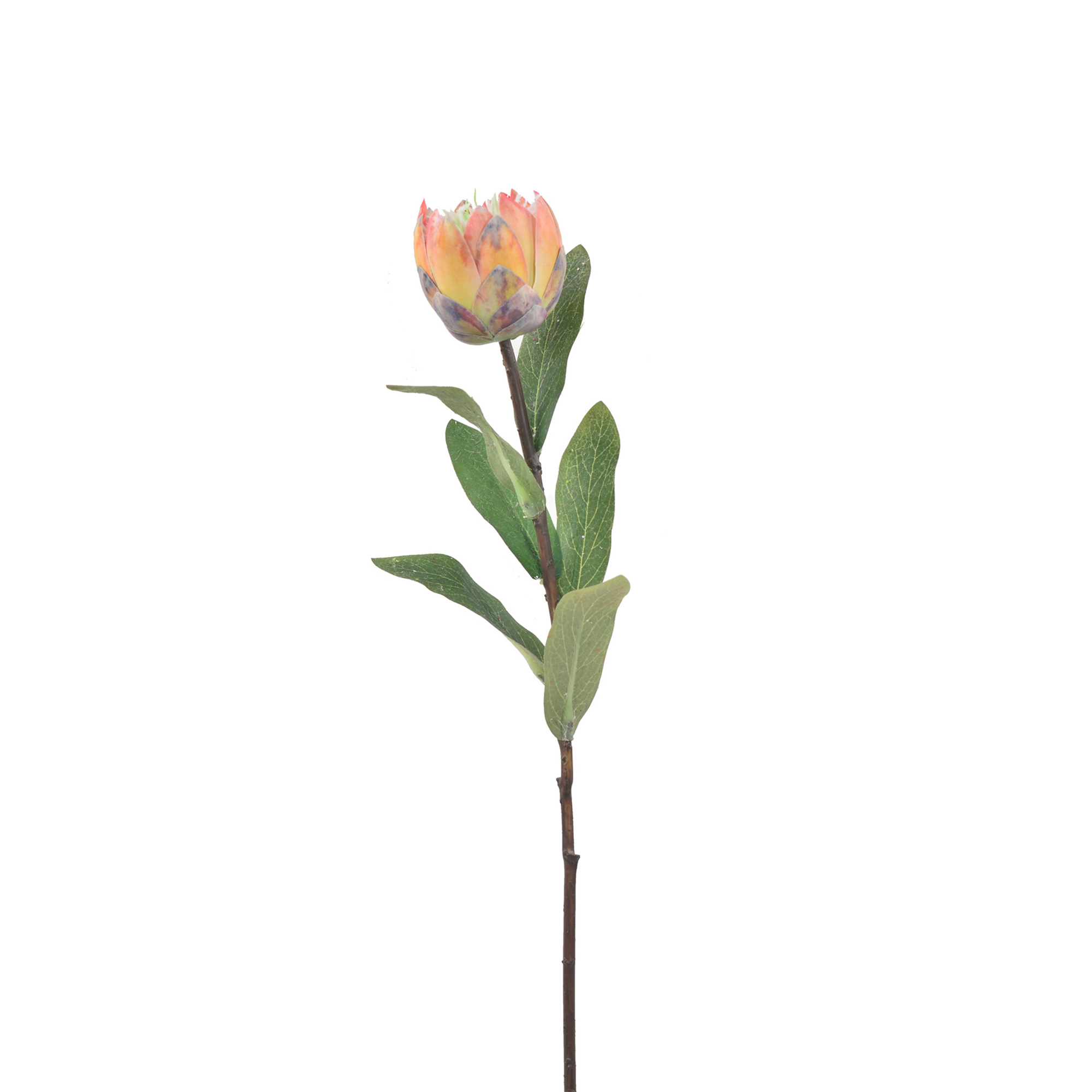 N35420-H129 Faux Protea / set of 6