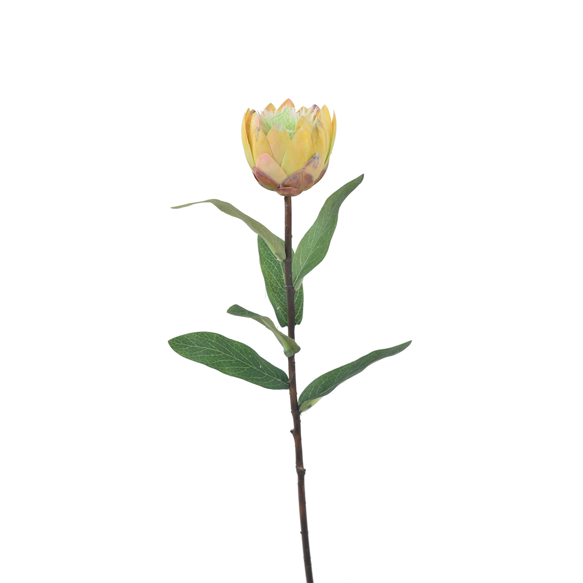 N35420-H129 Faux Protea / set of 6