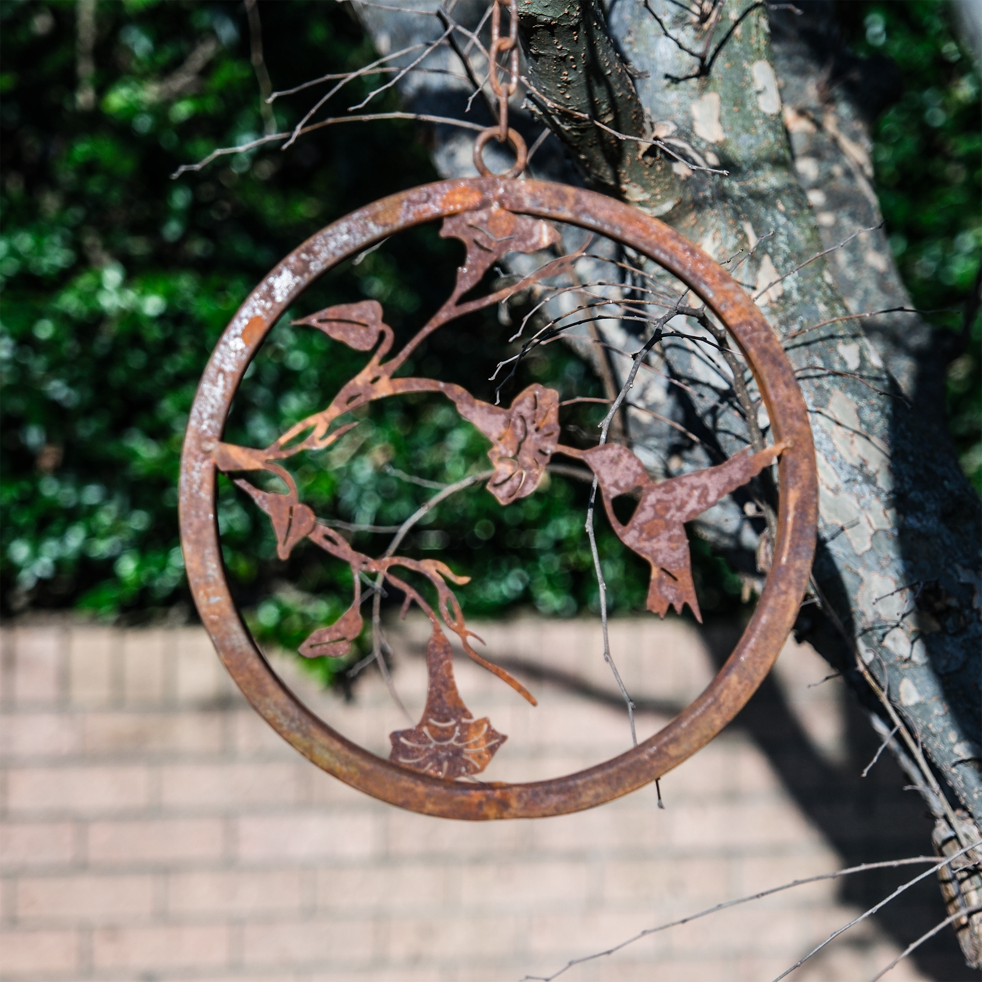 *W4277 Hummingbird on Morning Glory Branch Ring with hook set of 3