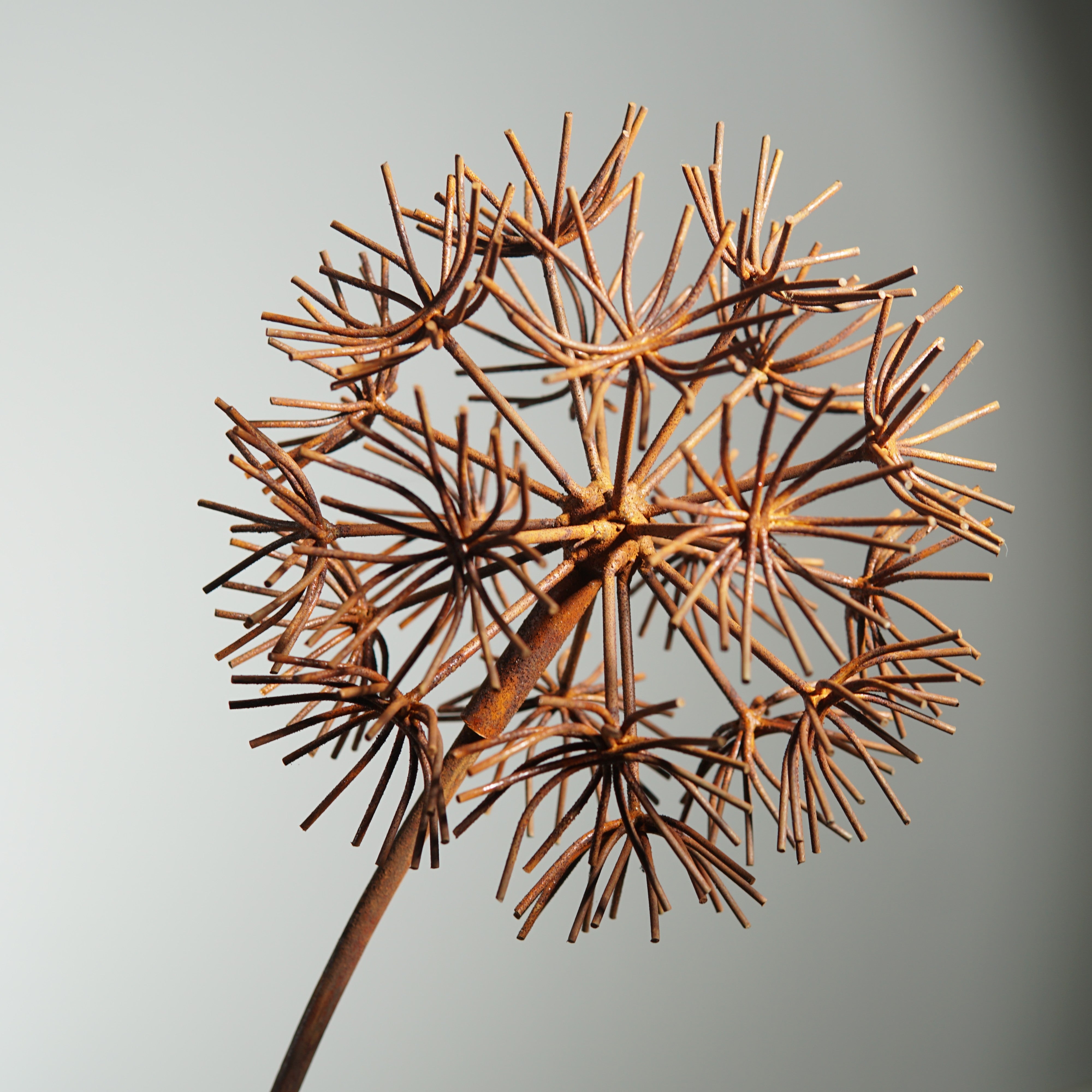 W6078B - Bruniaceae flower stake
