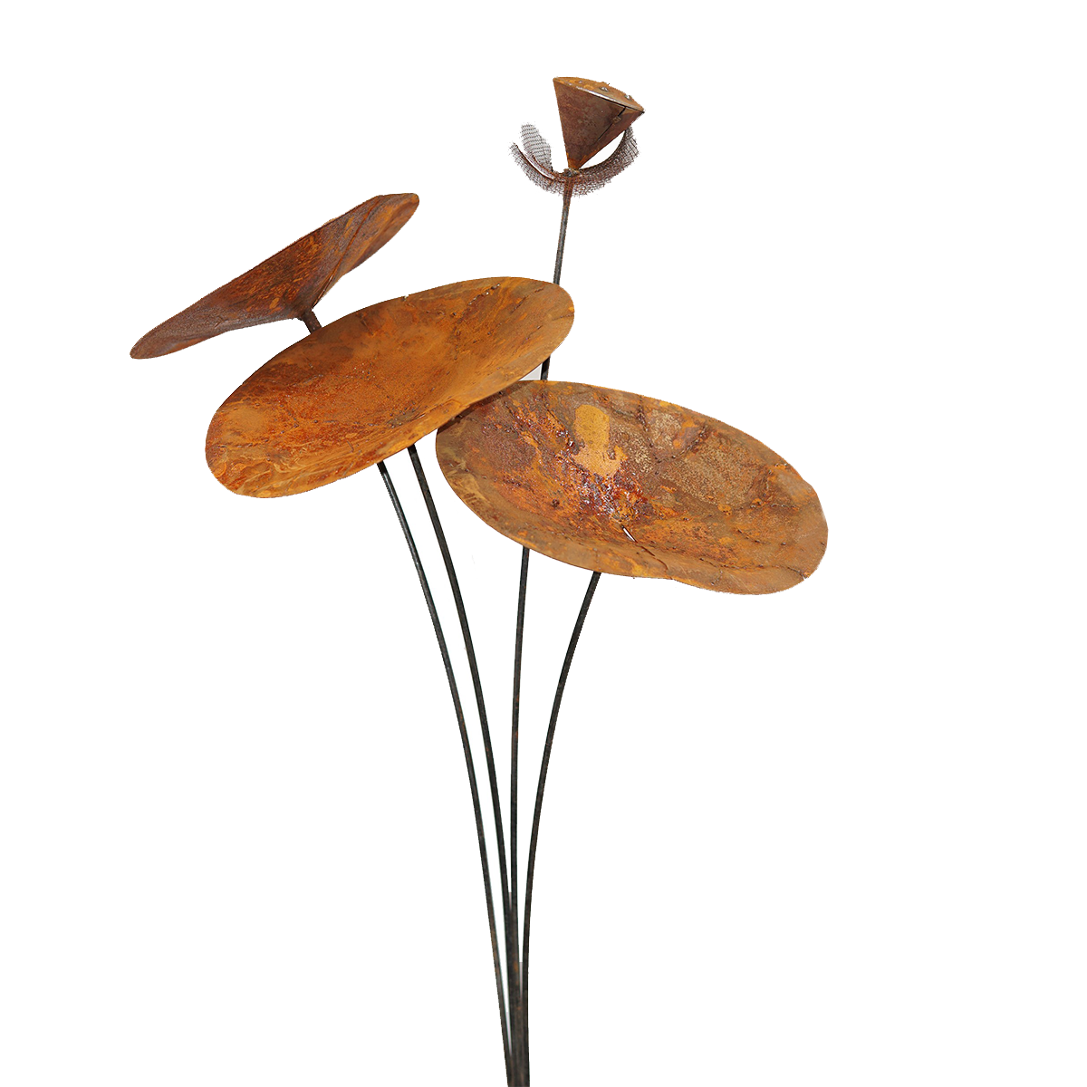 W3320-KD Lotus leaf stake