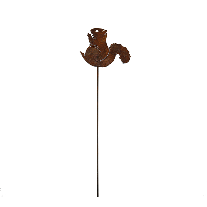*W4160 Nibbling squirrel pick