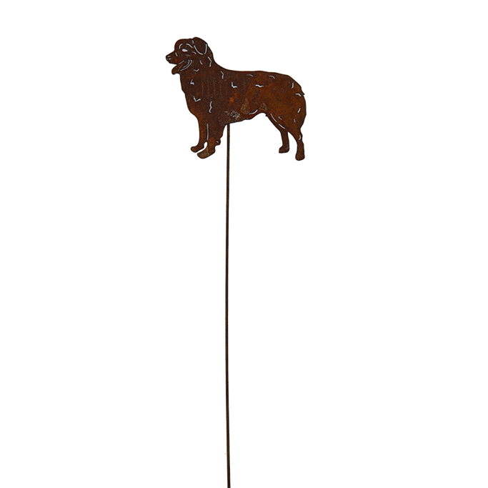 *W4368 Dog Picks