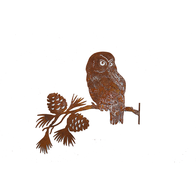 *W4256F/M Saw-whet Owl on Pine Branch F/M