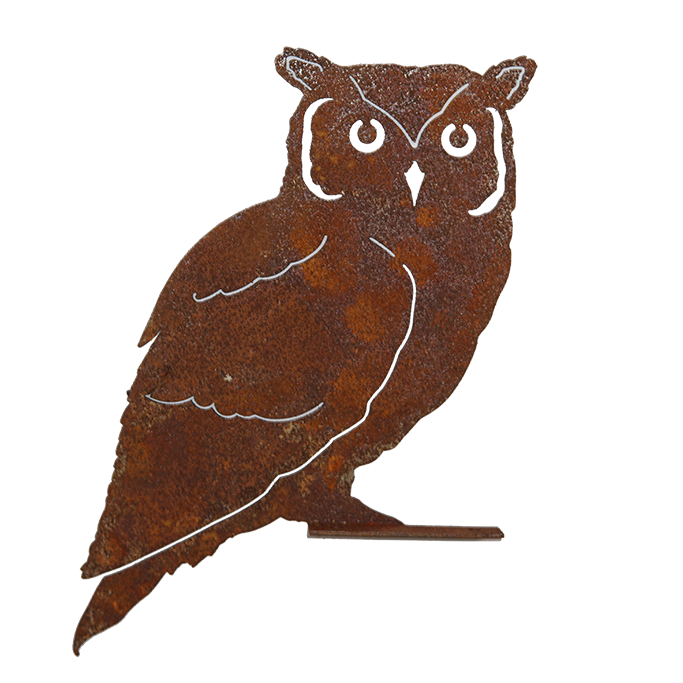 *W3585sm-F/M Bird Owl w/ear sm F/M
