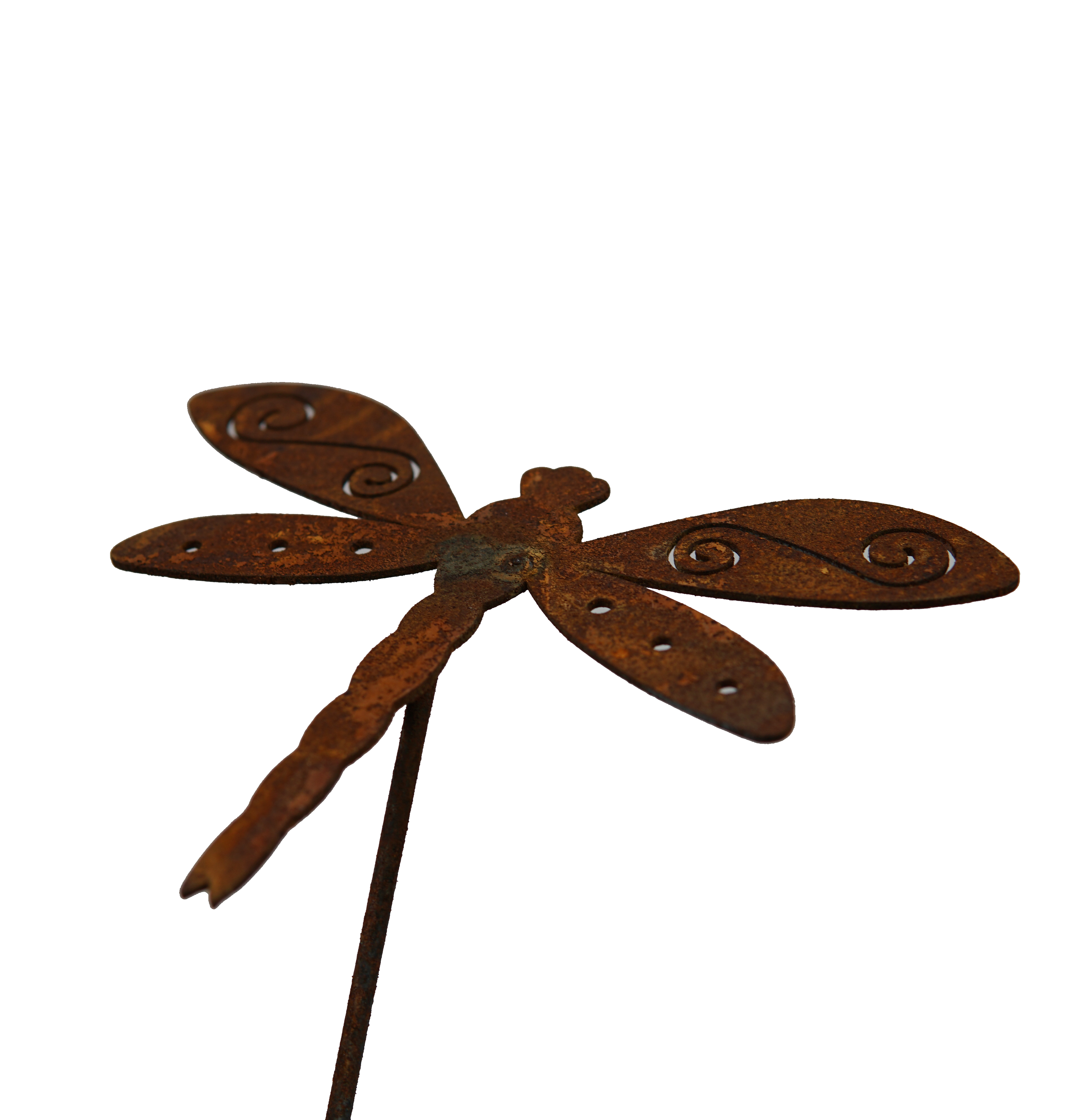 *W4923B Stake dragonfly - SET OF 5