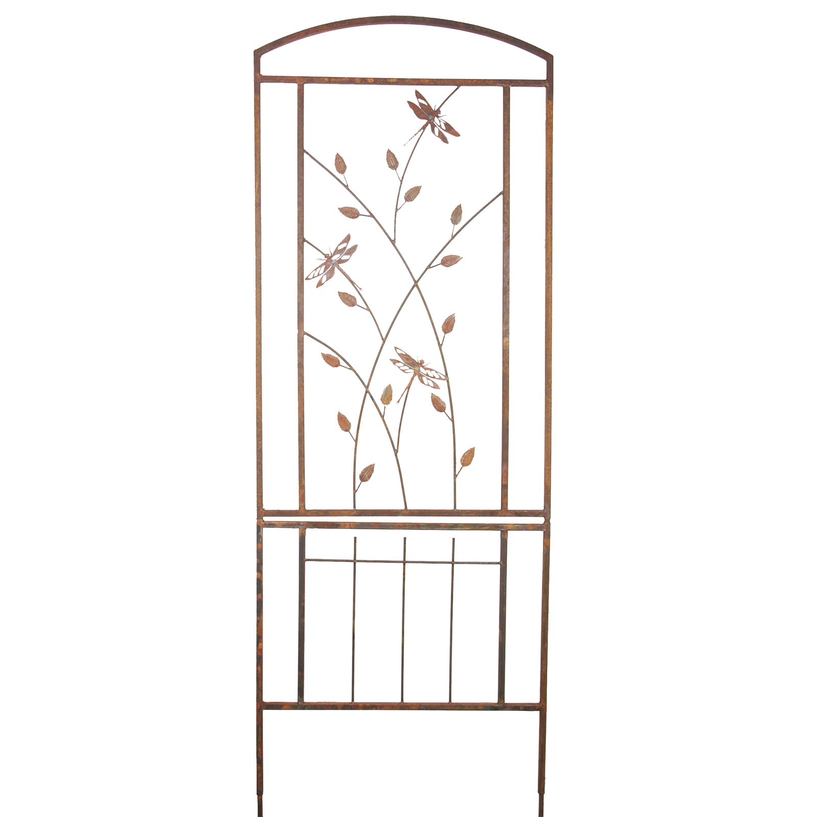 W4266KD Trellis dragonflies and leaves
