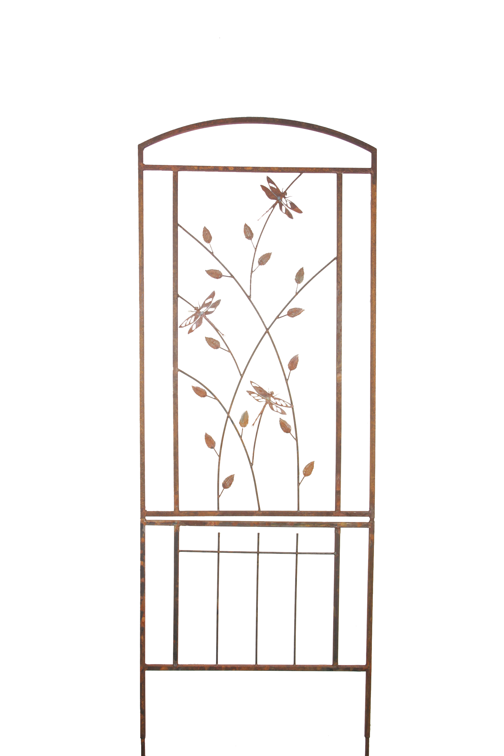 W4266KD Trellis dragonflies and leaves