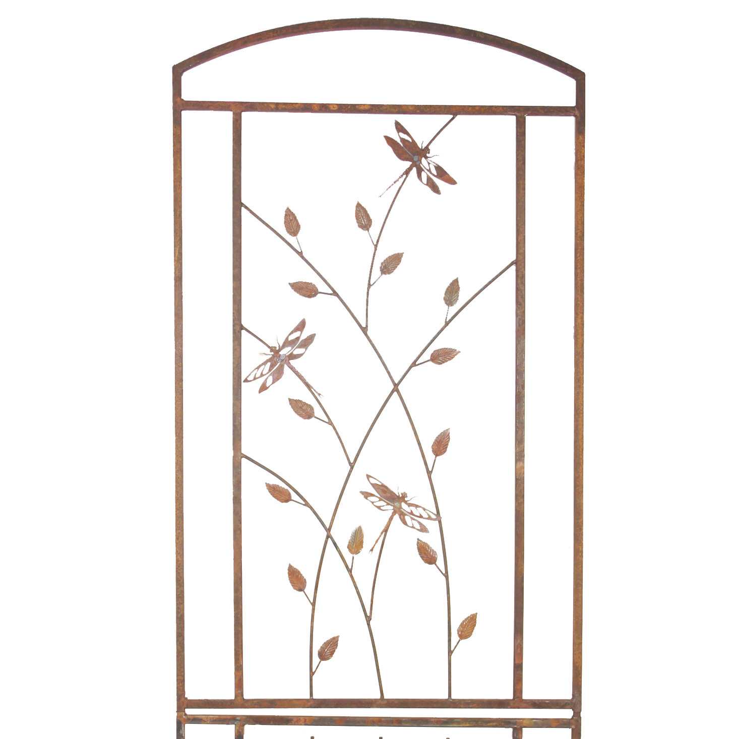 W4266KD Trellis dragonflies and leaves