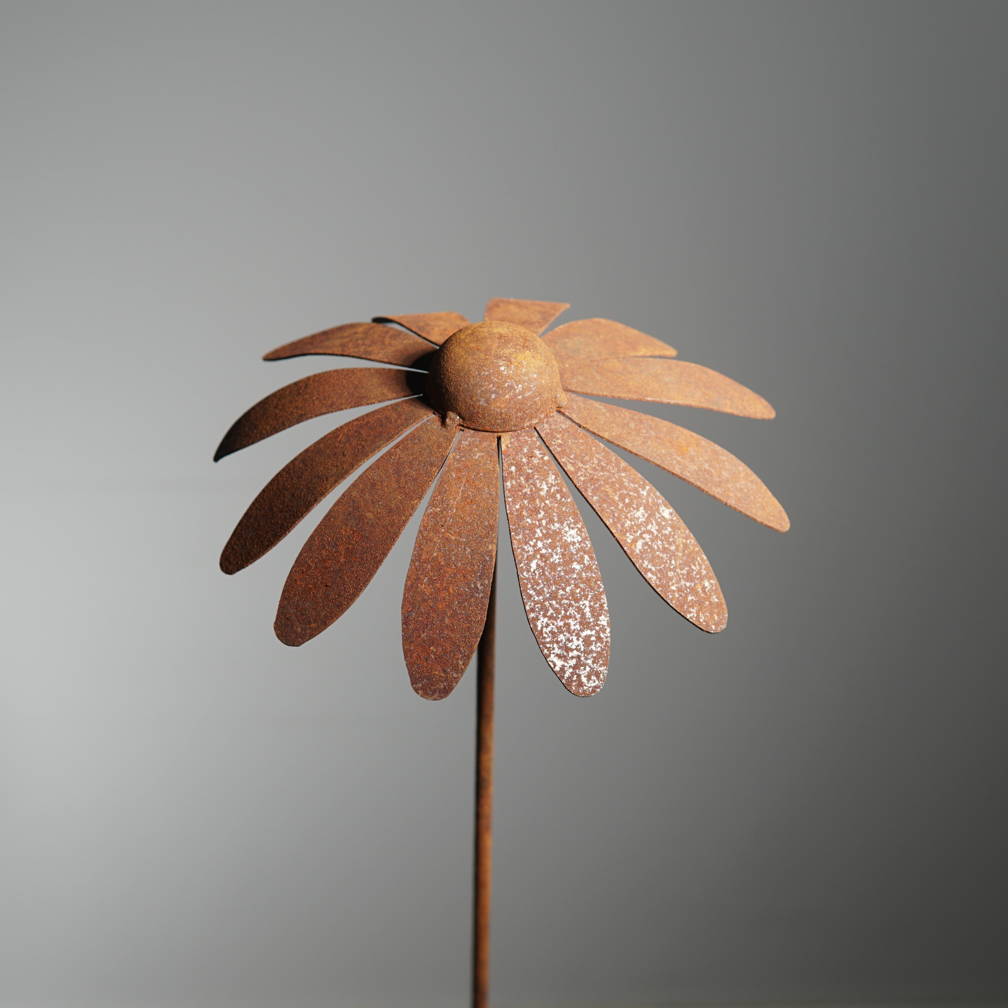 W4995 Daisy stake