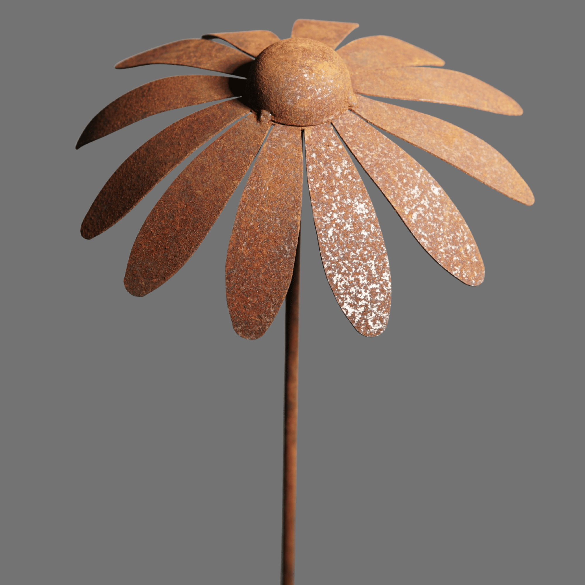 W4995 Daisy stake
