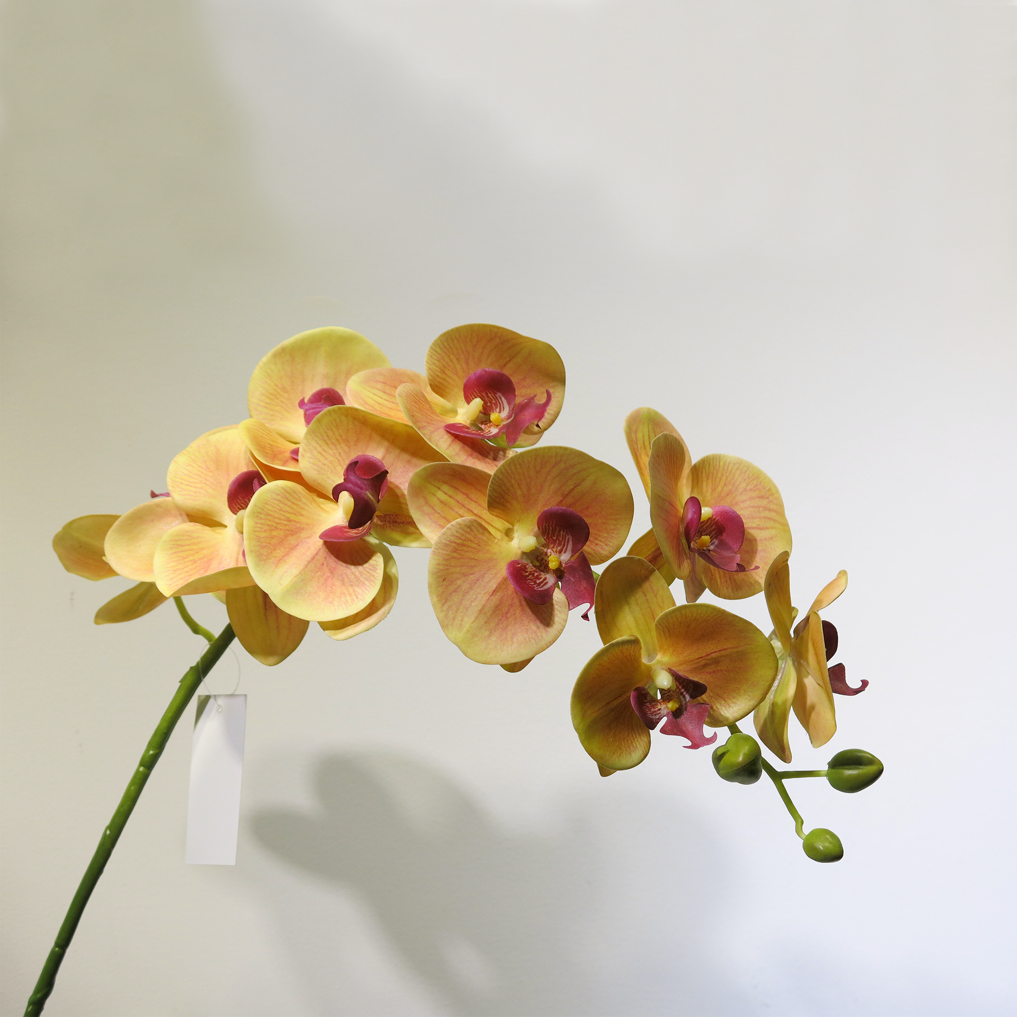 N35220-H026-YL Real Touch Faux Yellow  Phalaenopsis Orchid 12 heads 105cm