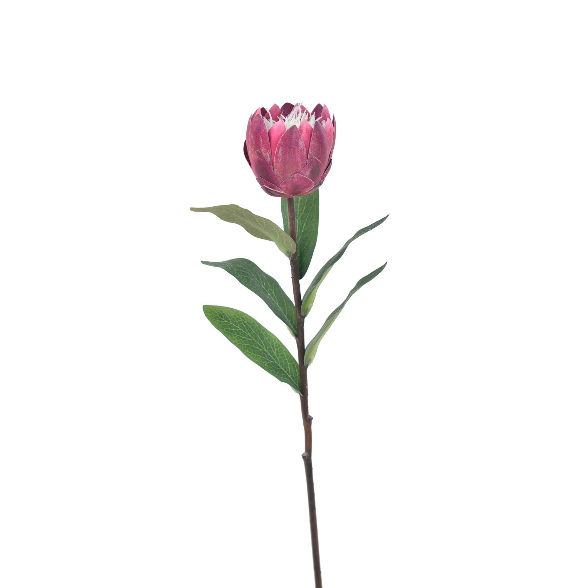 N35420-H129 Faux  Protea / set of 6