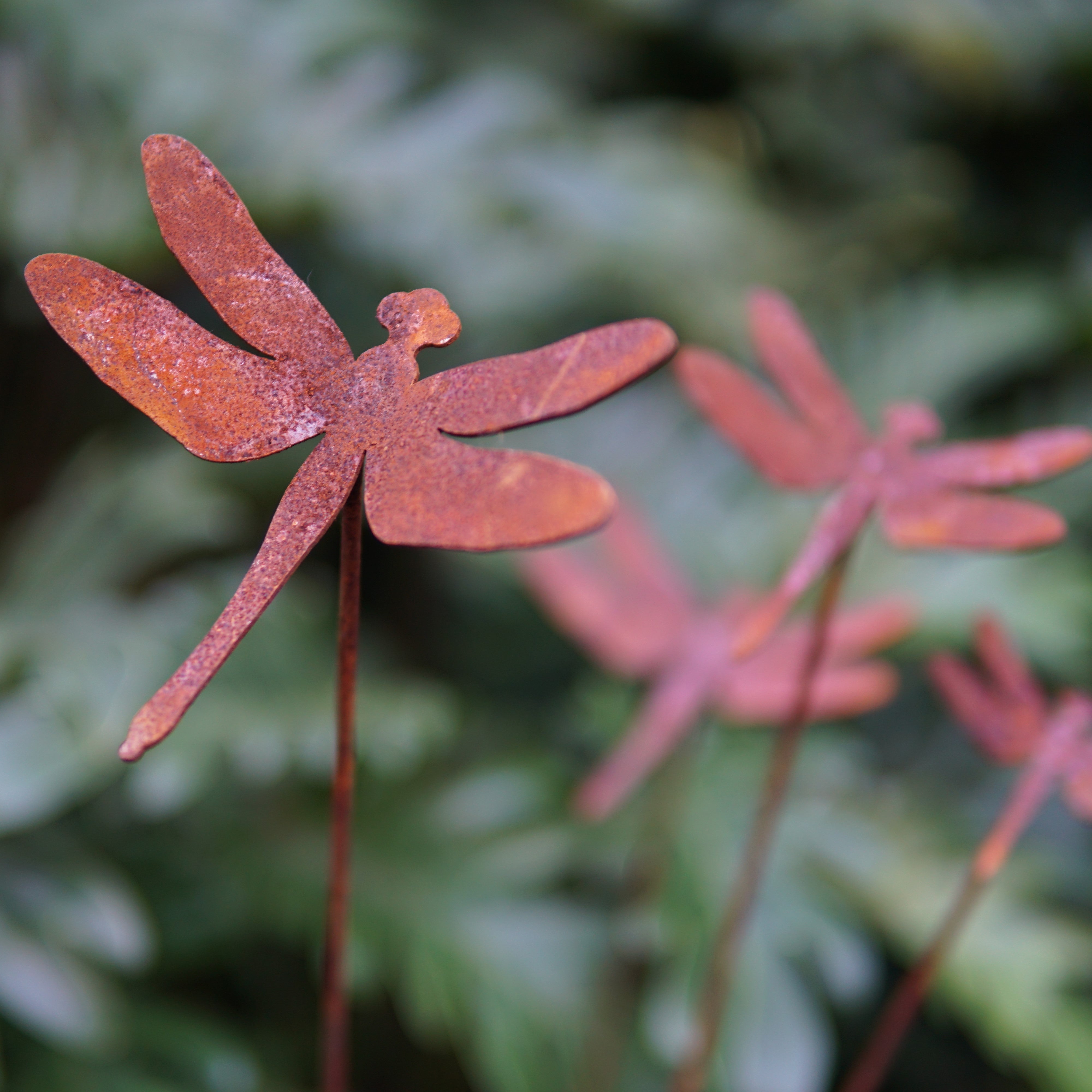 C1045K Five dragonflies with stake - Set of 1