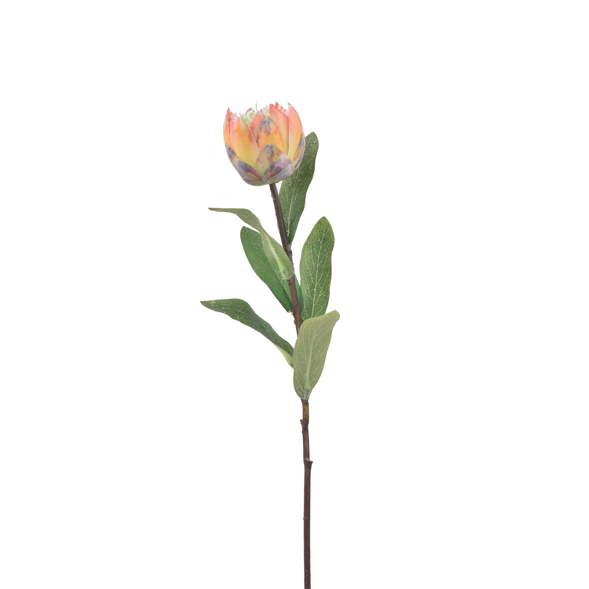 N35420-H129 Faux  Protea / set of 6