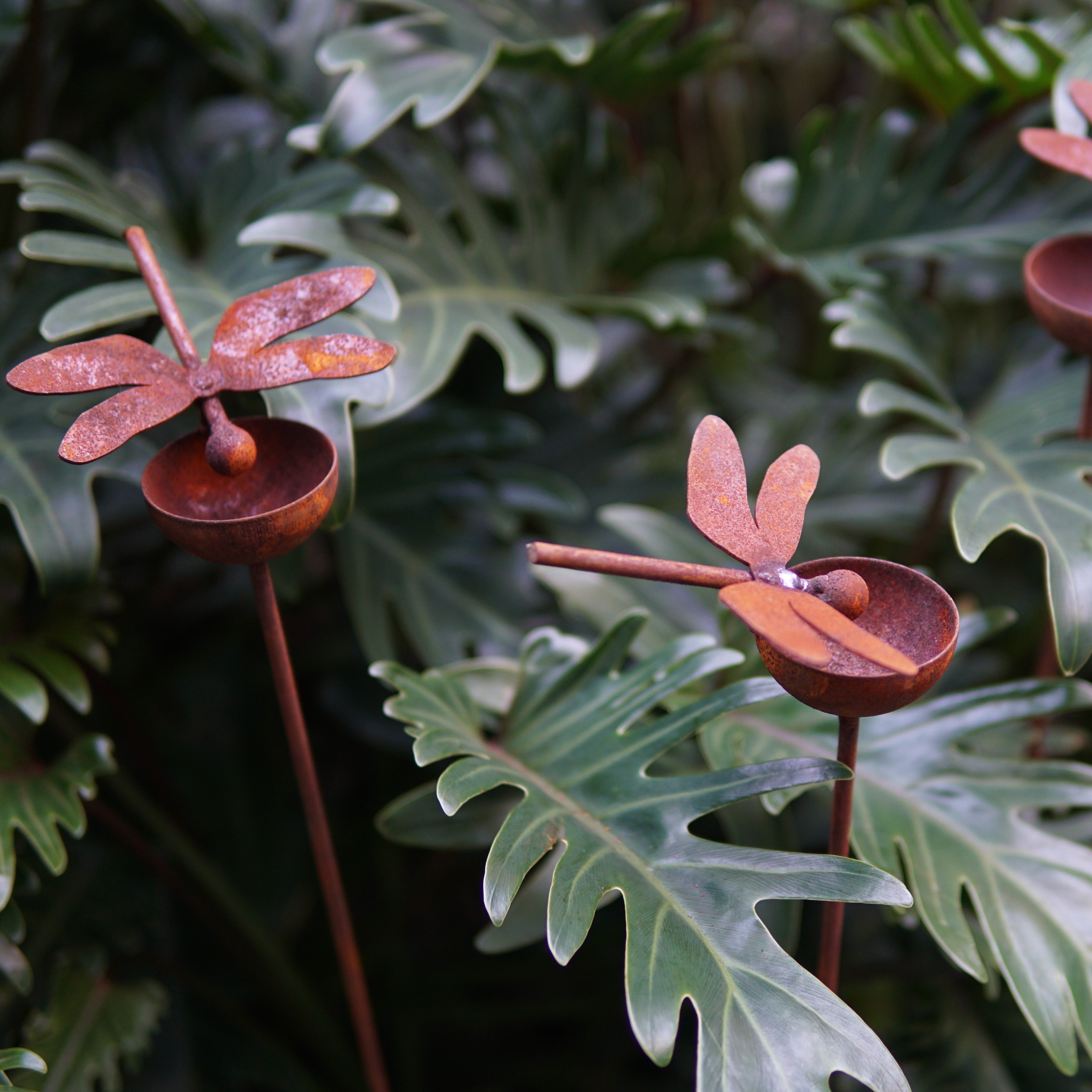 C1011DF Rain bowl with dragonfly - Set of 3