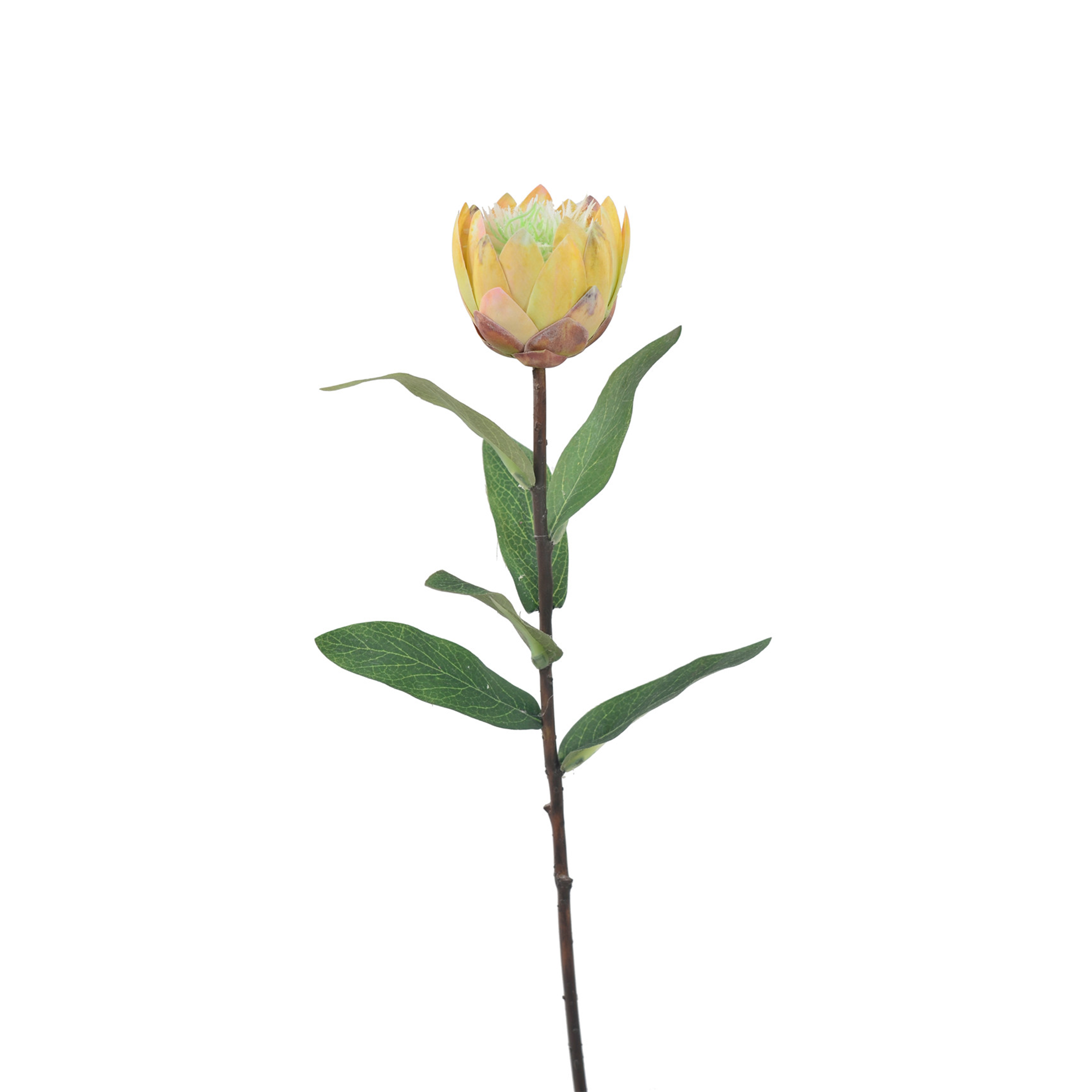 N35420-H129 Faux  Protea / set of 6