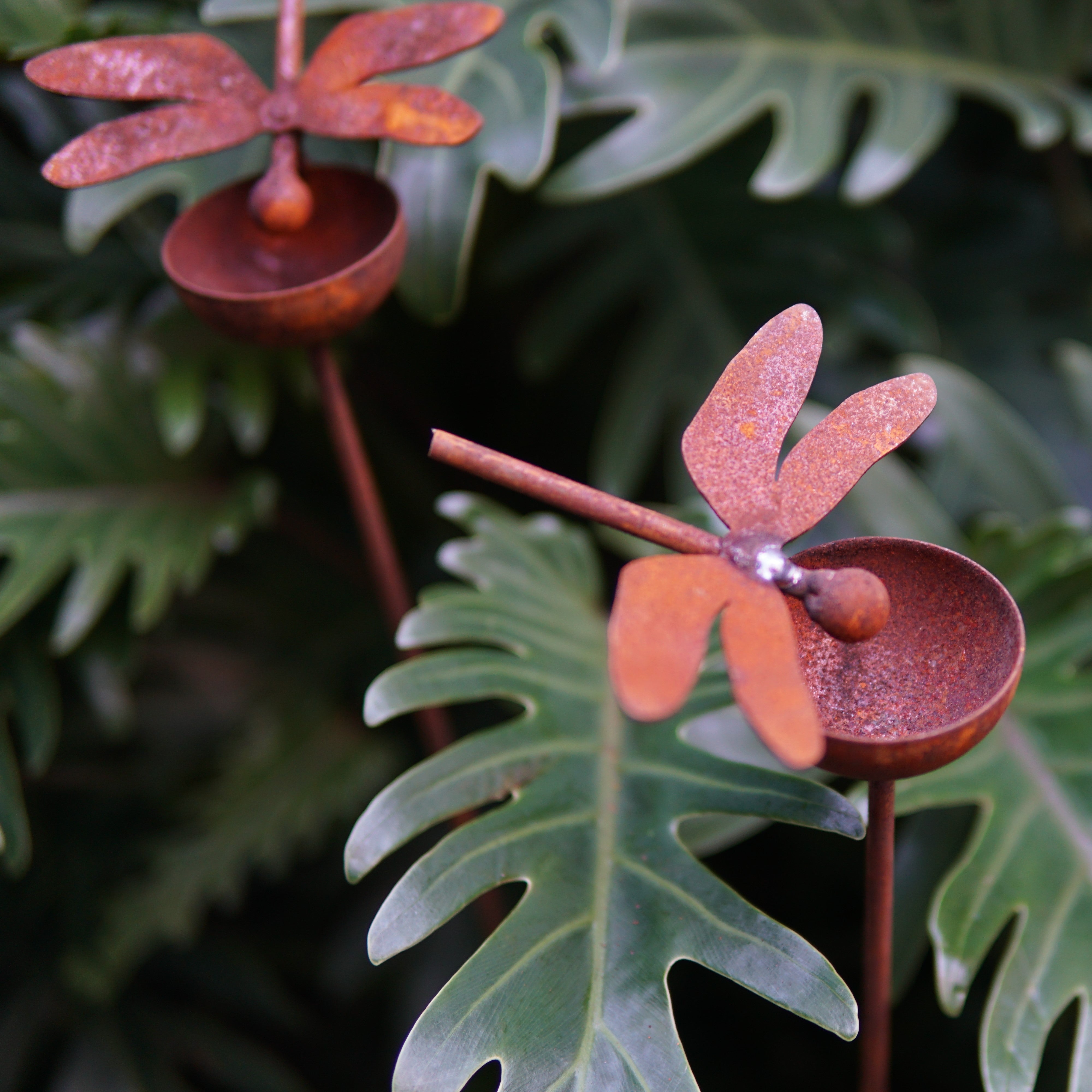 C1011DF Rain bowl with dragonfly - Set of 3