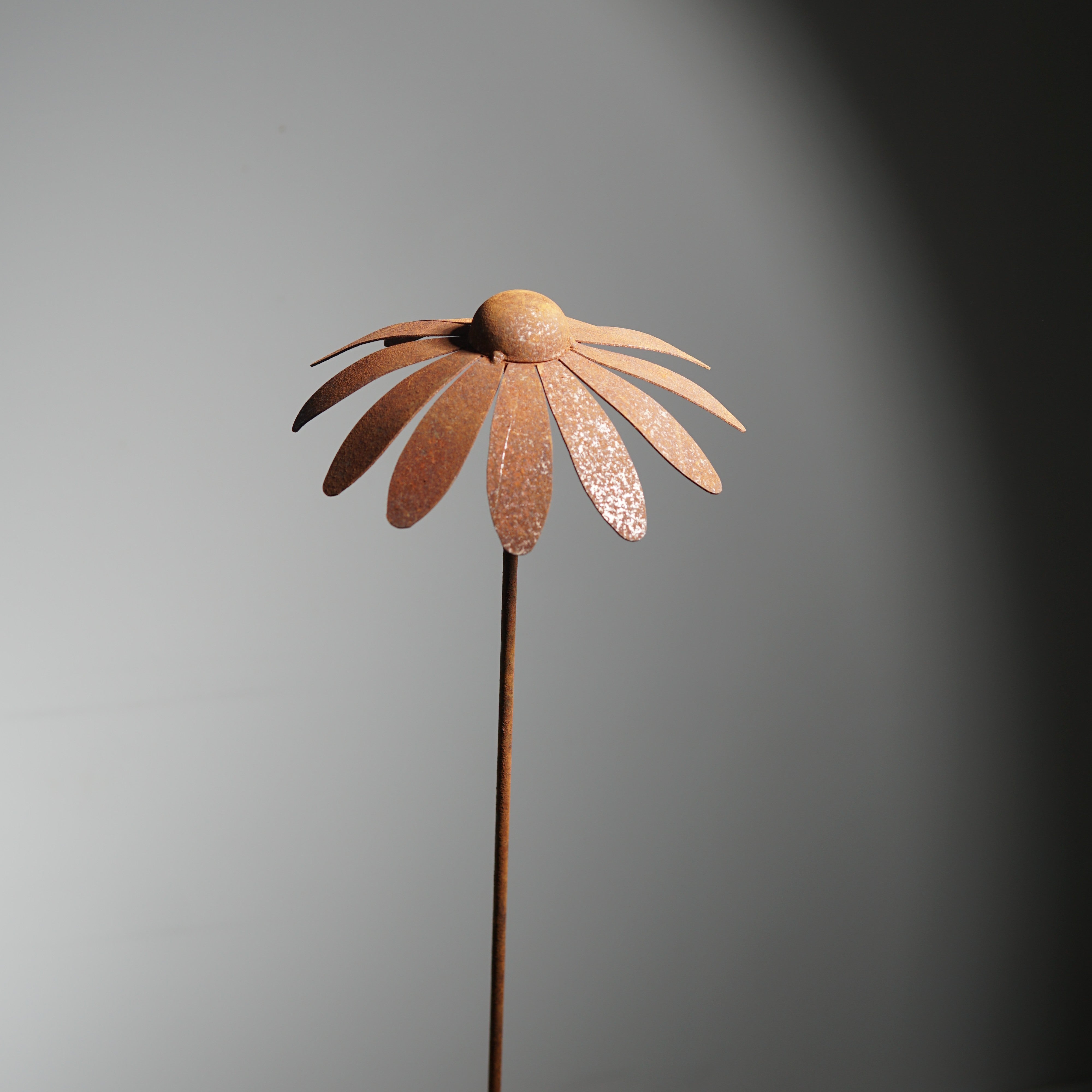 W4995 Daisy stake