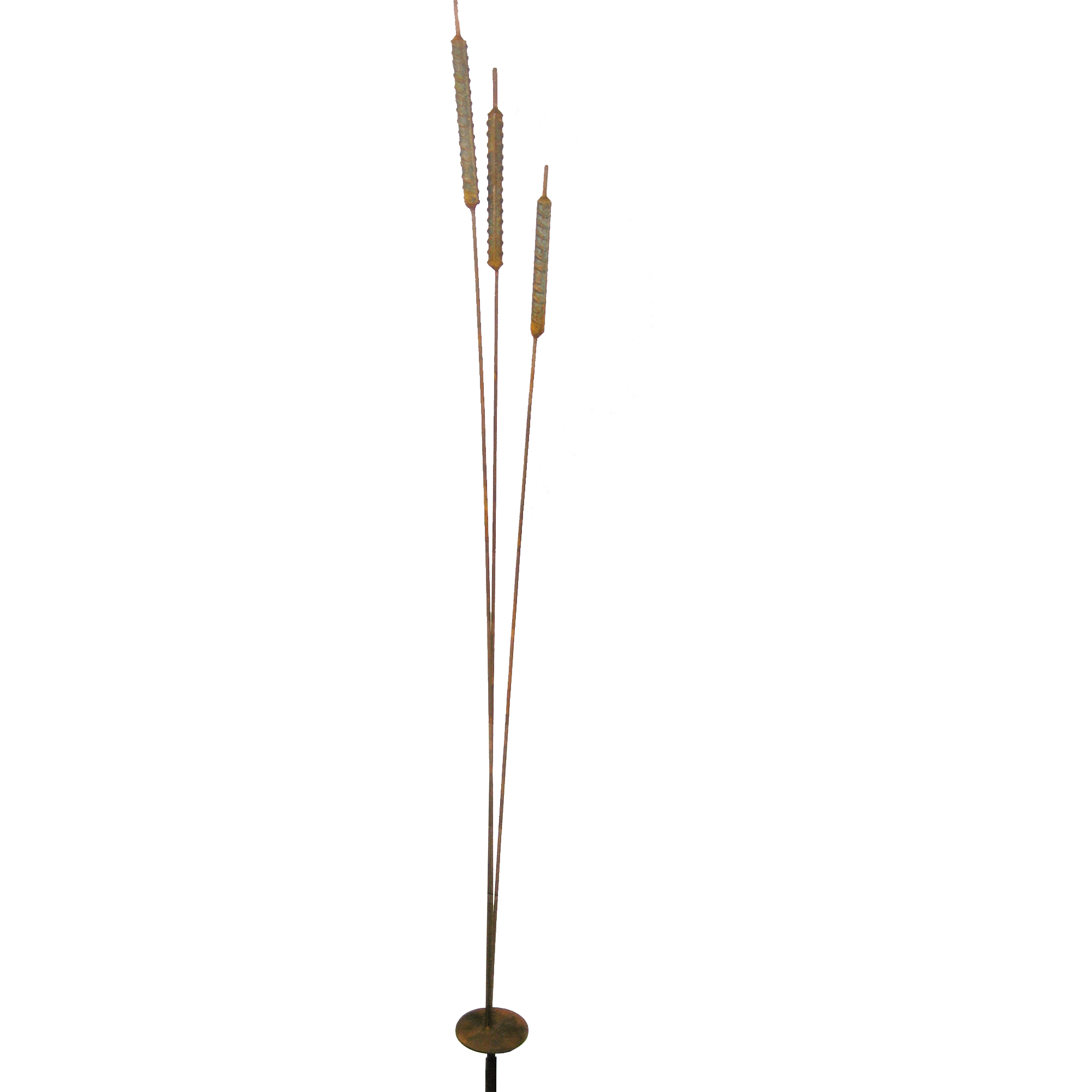 C1093 Three typha with stakes - Set of 2