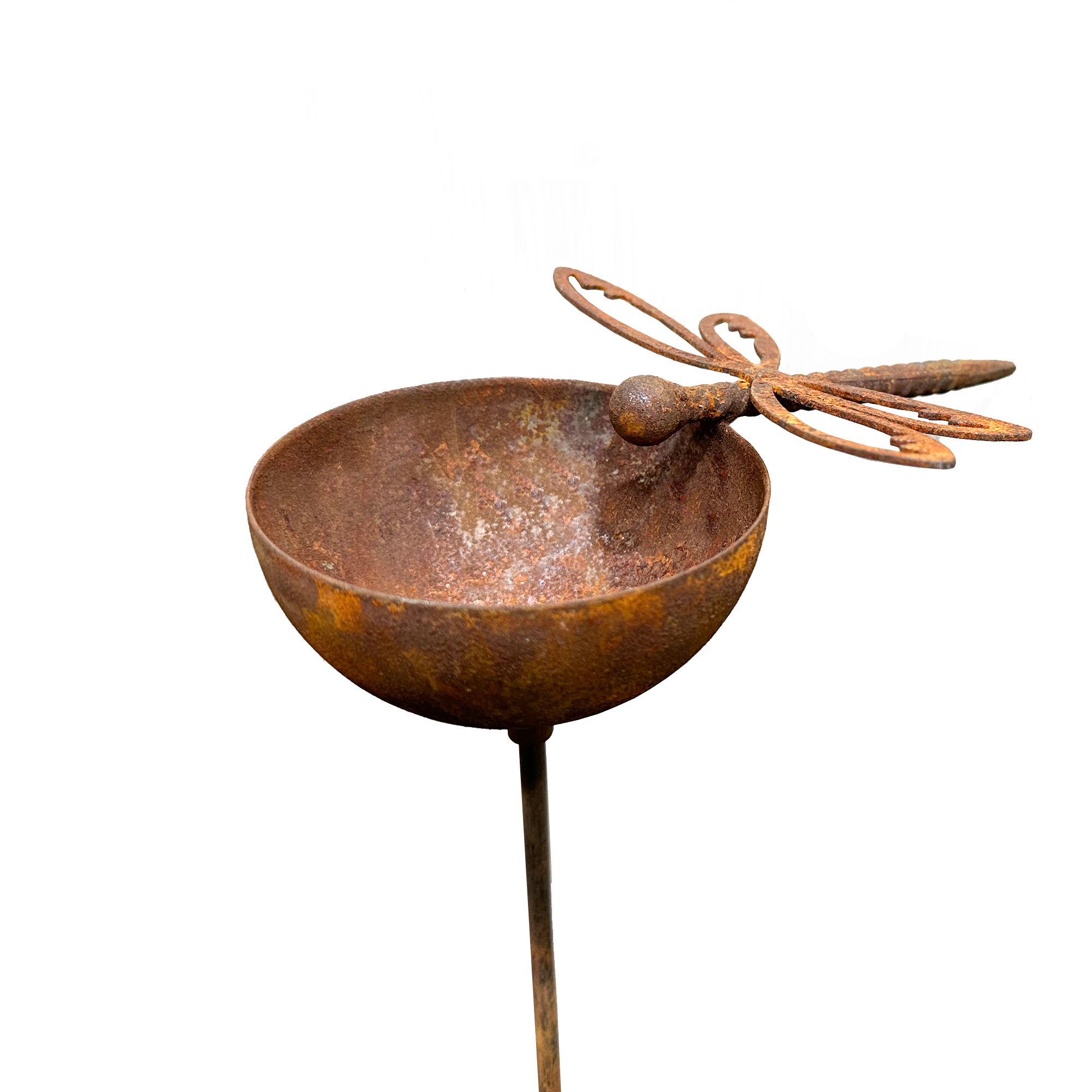 W4996 dragonfly rain bowl