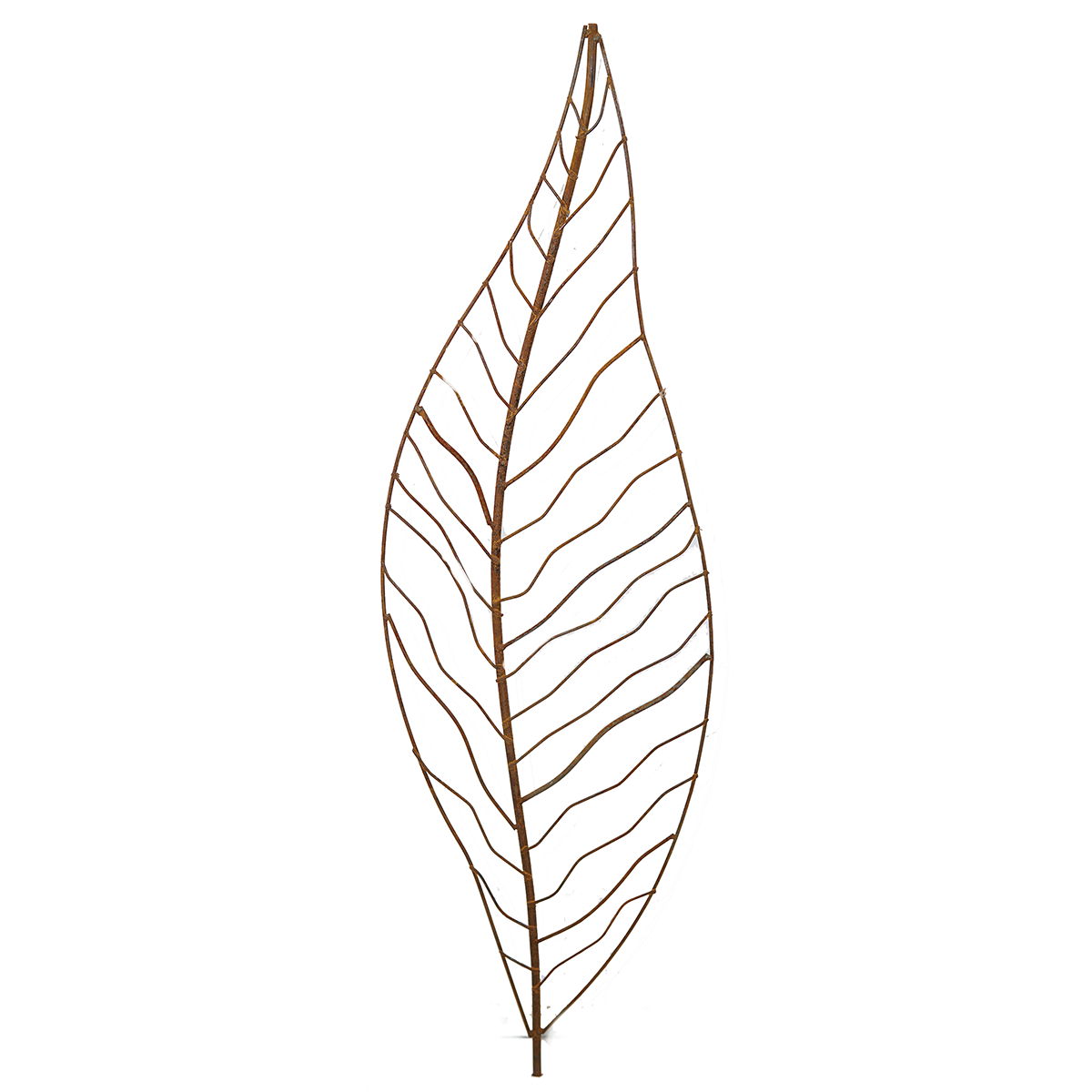 W4084  Narrow Leaf - Set of 5